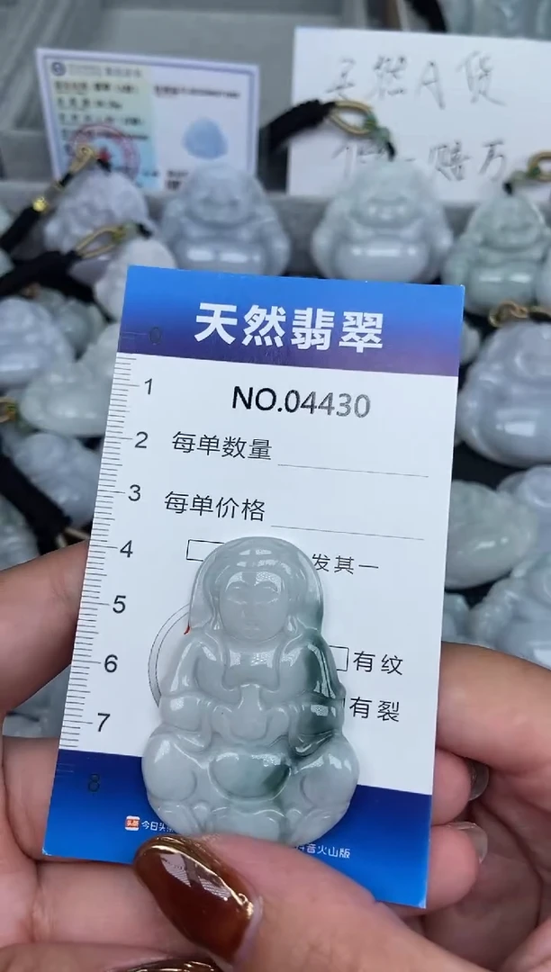 颈饰未镶嵌翡翠纯天然A货翡翠4430