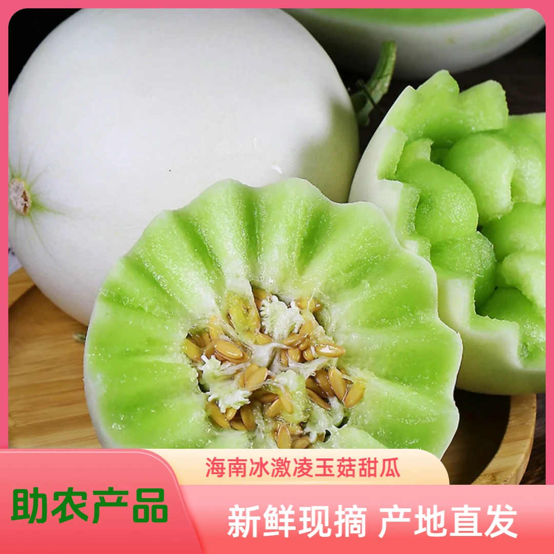 【海南玉菇甜瓜】新鲜香甜多汁冰淇淋蜜瓜应季水果特大香瓜