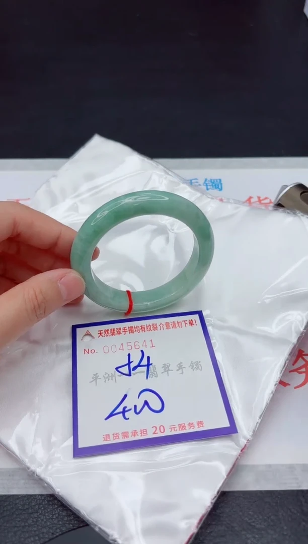 未镶嵌手镯翡翠11111