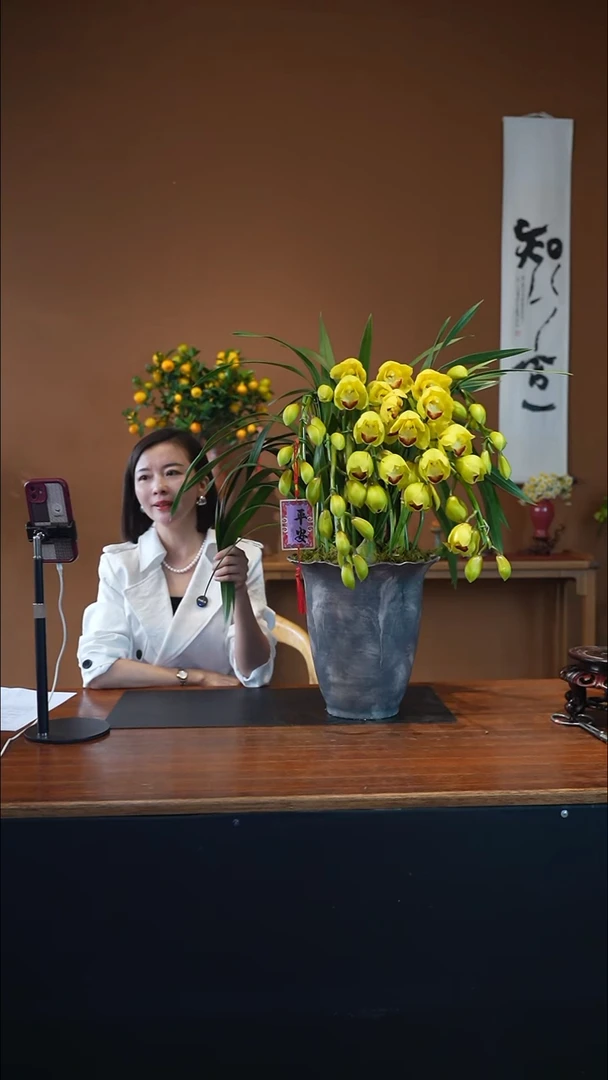 全部花朵黄金岁月盆景盆景