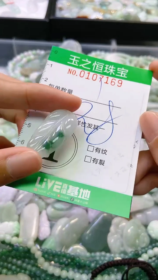 翡翠未镶嵌颈饰闪购0107169