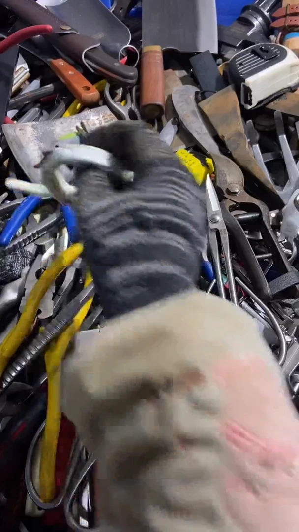 猎*五金园艺农具厨具工具闪购