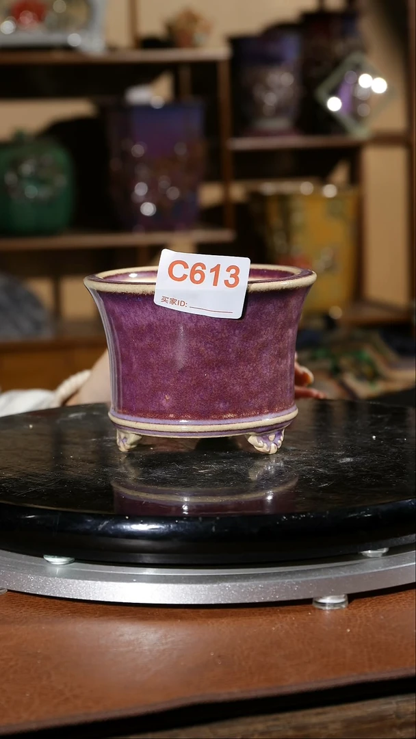 【闪购商品】红陶613