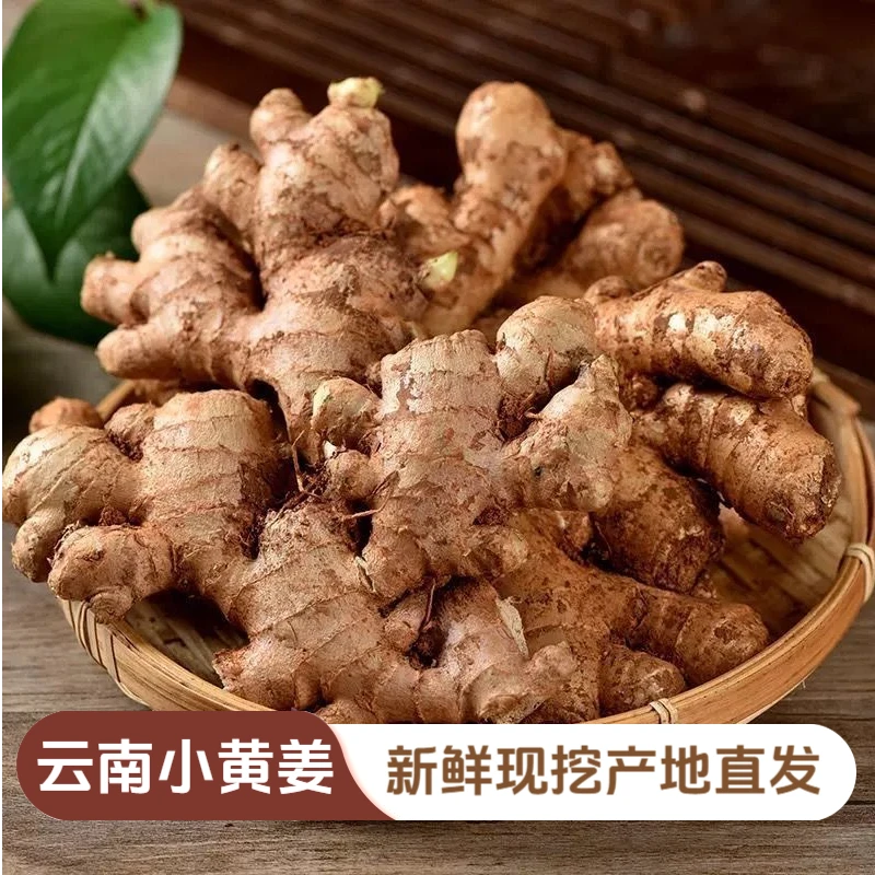 正宗云南小黄姜新鲜现挖现发带泥老姜新鲜嫩姜月子姜批发家用商用