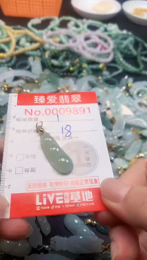 颈饰未镶嵌翡翠9891