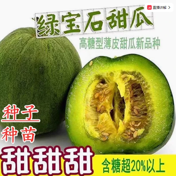 甜瓜种子日本绿宝石甜宝超甜冰糖子水果羊角蜜酥易种