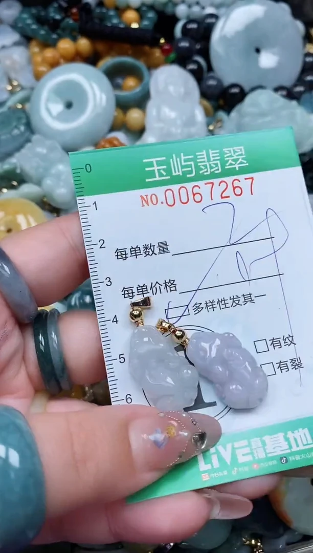 【闪购商品】翡翠颈饰未镶嵌闪购0067267多样性发其一