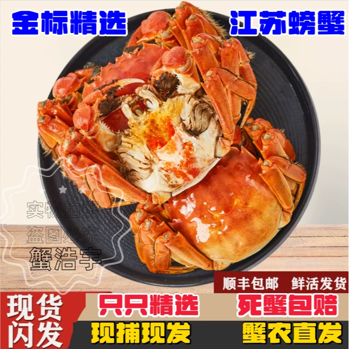 【活蟹现发】全母蟹8只装10只装（㍚0-㍙7两）洪泽湖螃蟹礼盒顺丰包邮