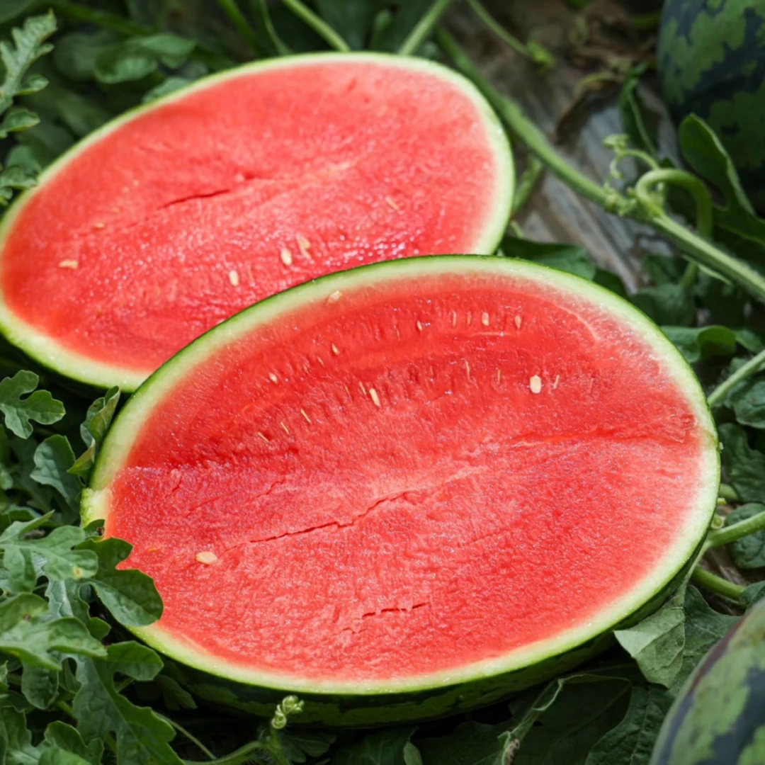 【战神西瓜】战神4K(3.5-9斤）+送小钢勺西瓜同城送