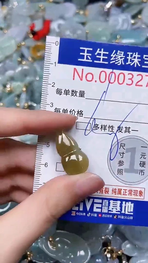 【闪购商品】翡翠颈饰未镶嵌闪购00003271