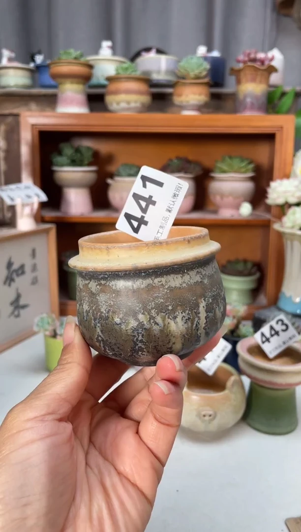 瓷片福利441小芳直播编号