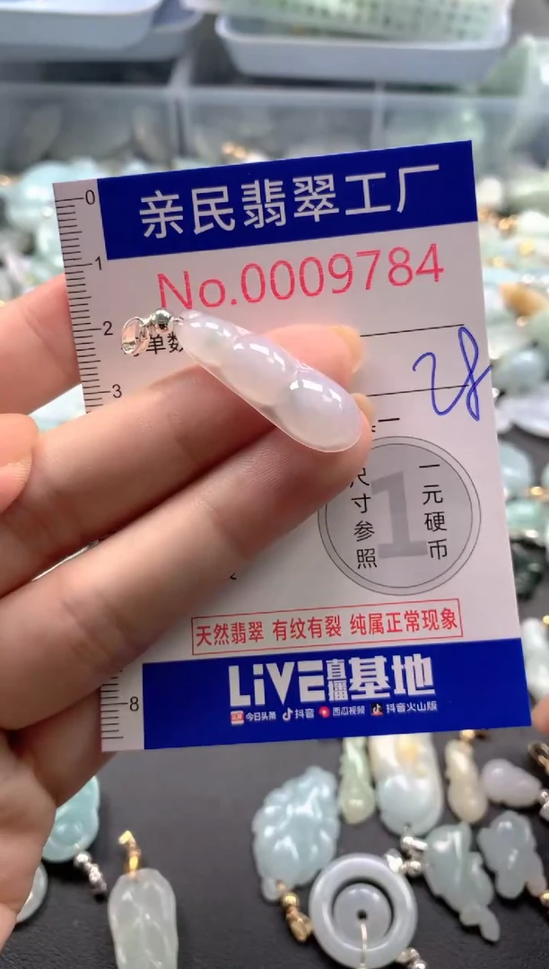 颈饰未镶嵌翡翠9784