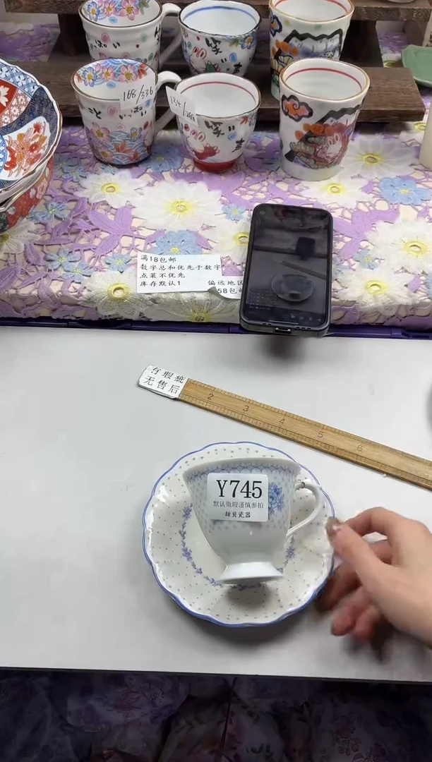 瓷片?****?                     Y745