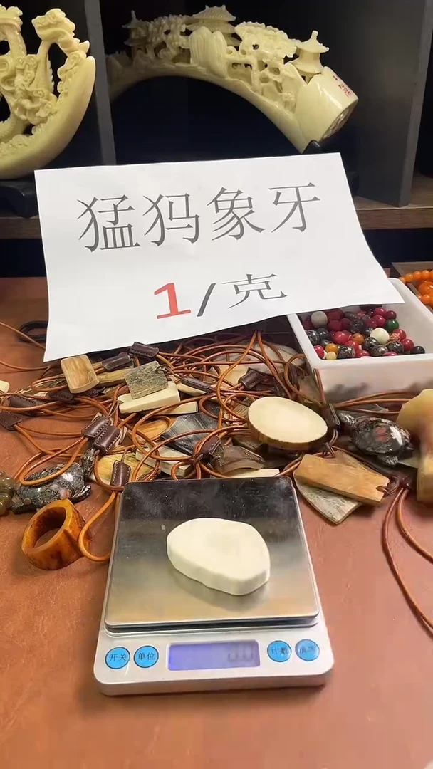 猛犸秋秋饼子++++