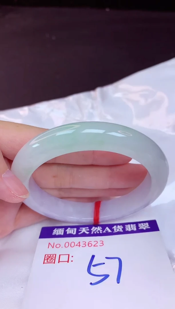 未镶嵌手镯翡翠57（48小时鉴赏期 ）
