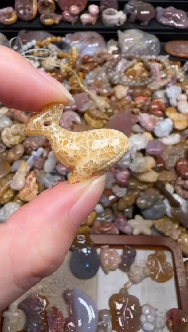 颈饰未镶嵌硅化珊瑚（珊瑚玉）581