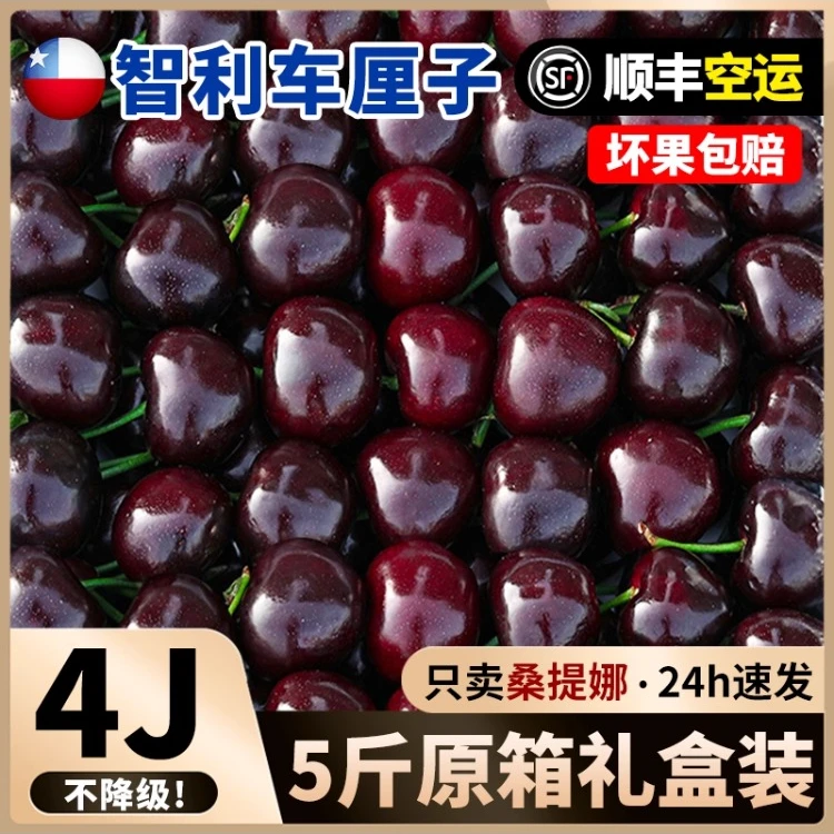 【顺丰空运】智利海运车厘子2J/3J/4J桑提娜当季新鲜水果内附果径卡