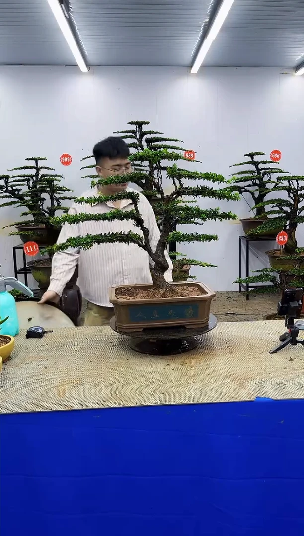 以实际为准一物一拍，所见即所得