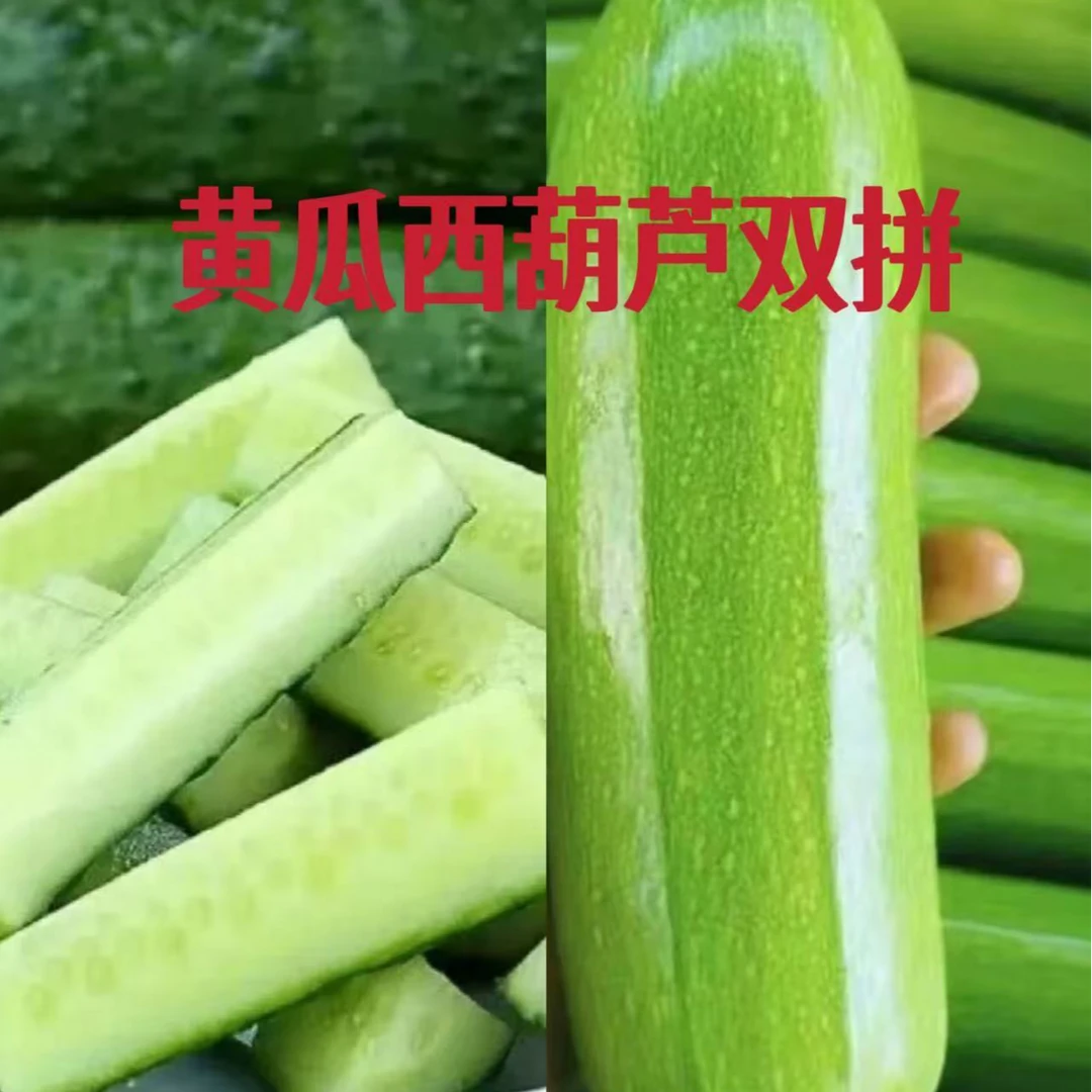 【坏果包赔】黄瓜西葫芦双拼青皮绿瓤黄瓜头茬西葫芦应季新鲜蔬菜