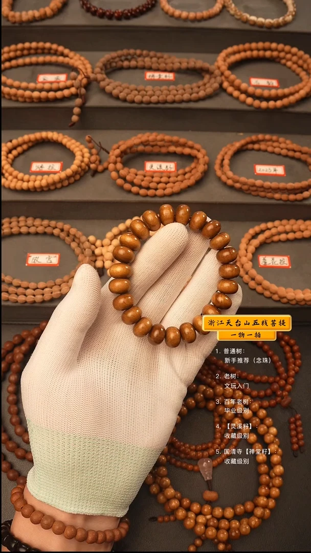 吊坠五线菩提手串