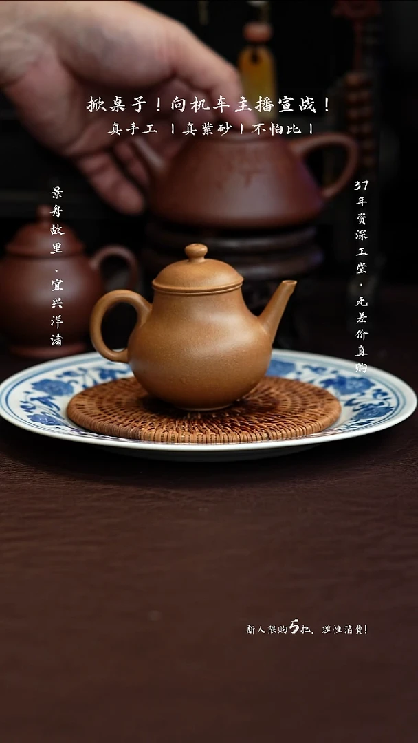 茶壶紫砂原矿手工段泥玉露100CC