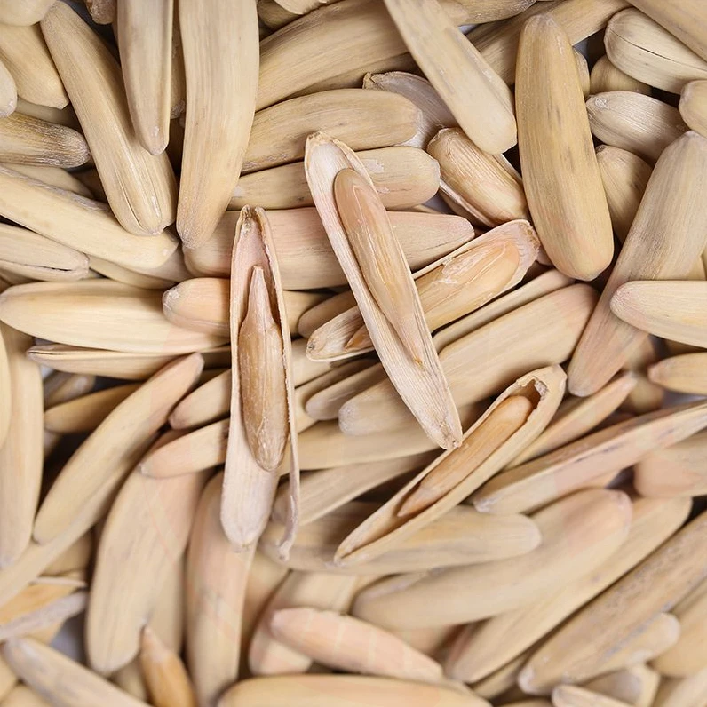 【净重新货】牙签瓜子五香味新疆阿克苏月牙新货香脆狼牙长瓜子125g