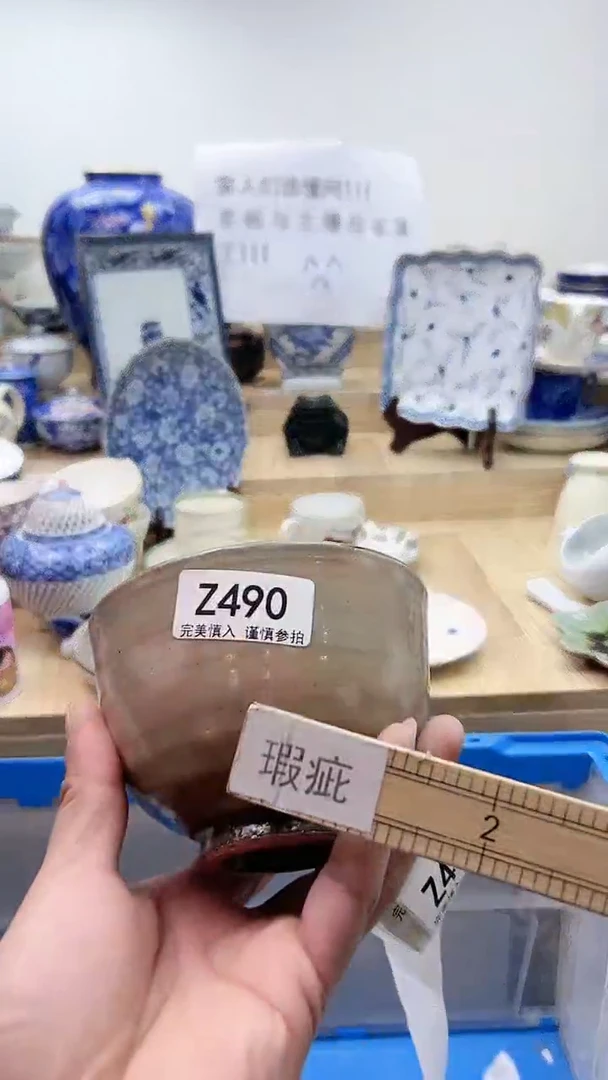 【闪购商品】瓷片490