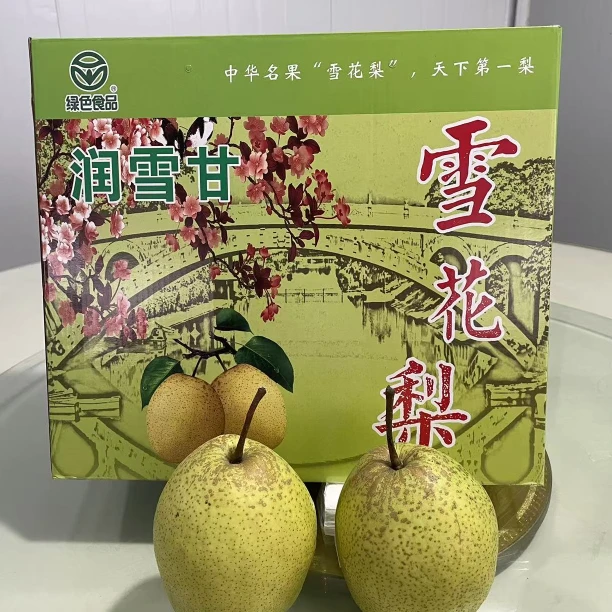 正宗雪花梨河北特此水果中秋礼盒8斤左右装