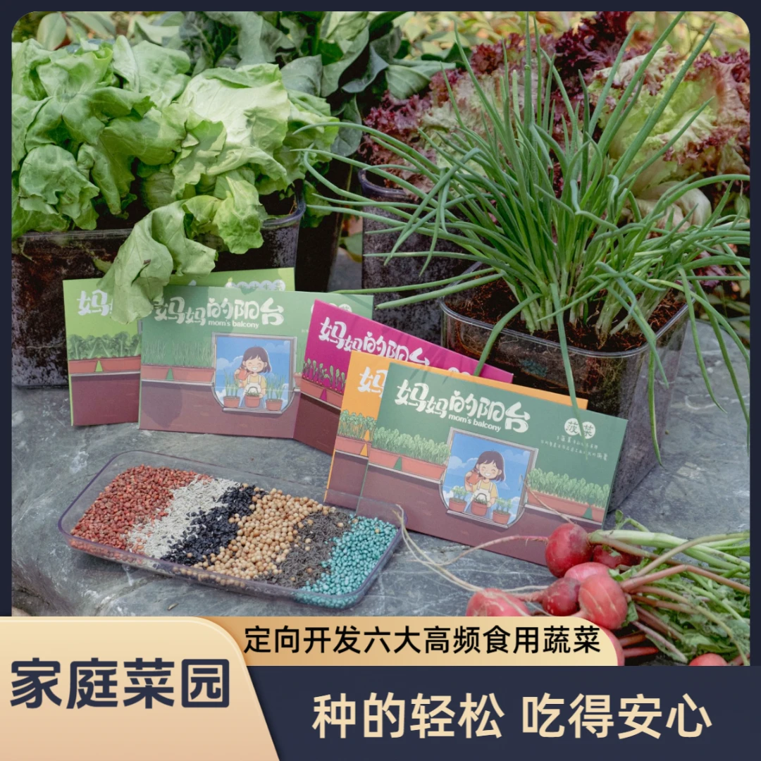 【妈妈的阳台】家庭种植专用种子 在家种出新鲜蔬菜 自己种 真安心