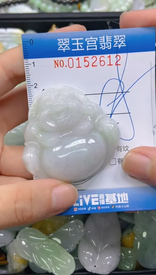 翡翠未镶嵌颈饰闪购0152612