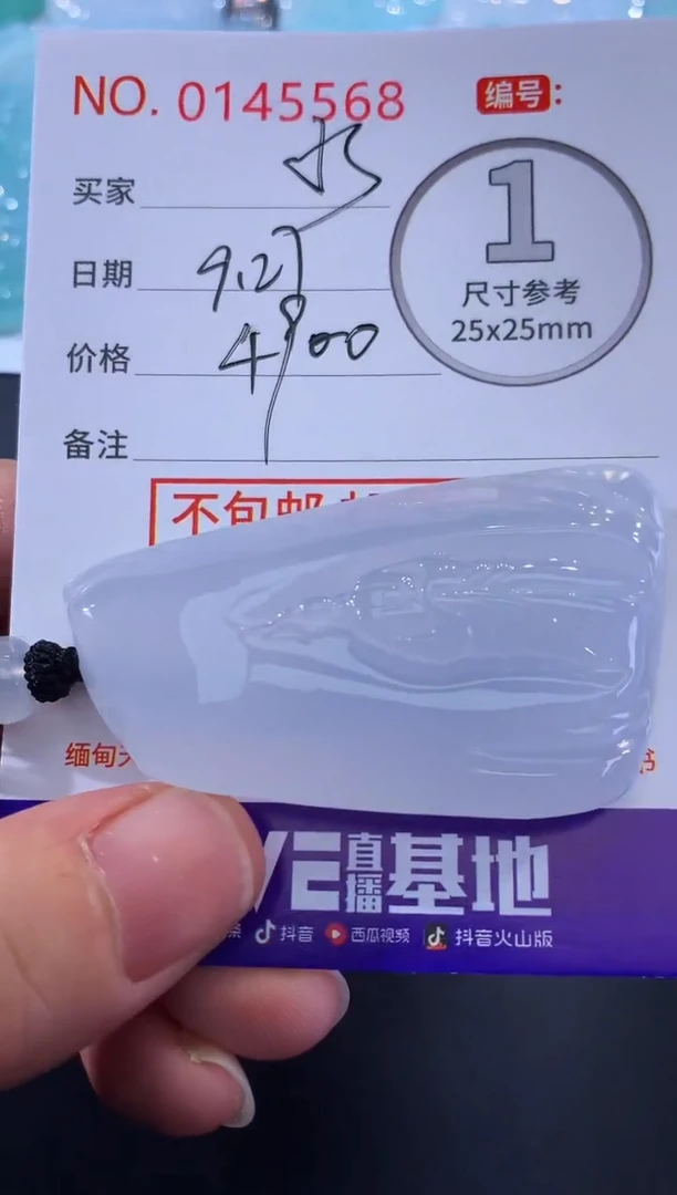 颈饰未镶嵌翡翠水**族！