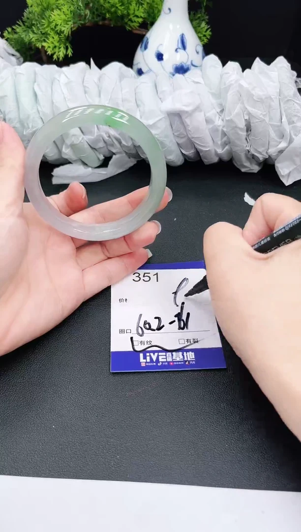 未镶嵌手镯翡翠351