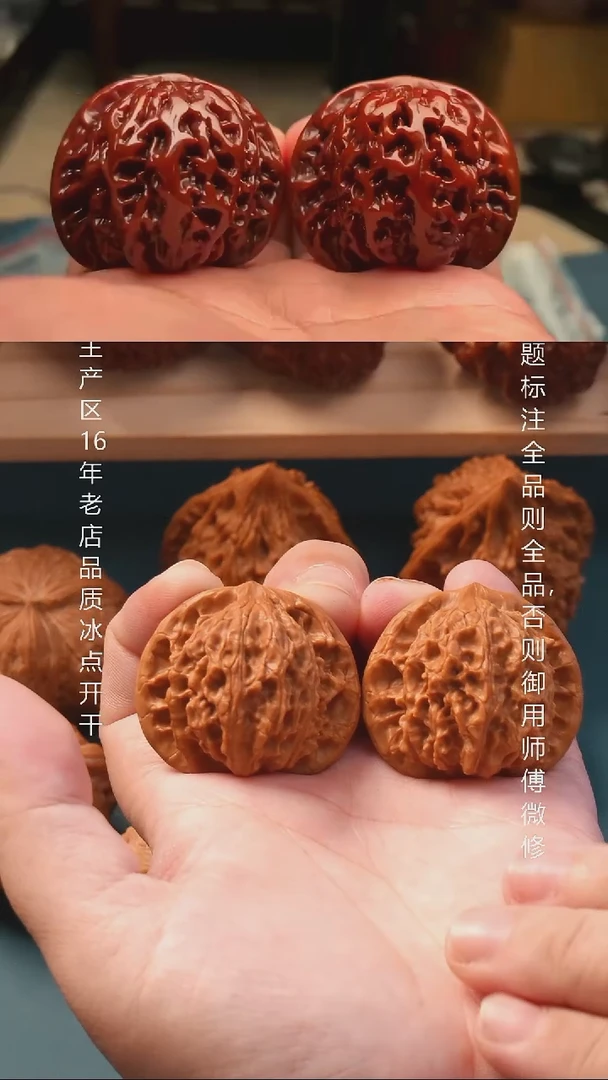 36狻猊【全品】1号
