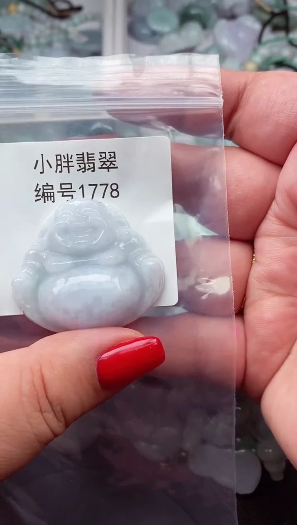 颈饰未镶嵌翡翠缅甸天然A货翡翠1778