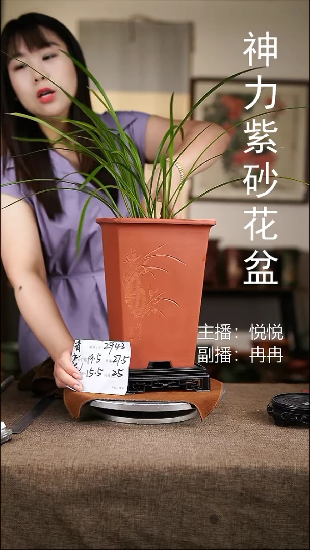 紫砂花盆紫砂花盆2943+s