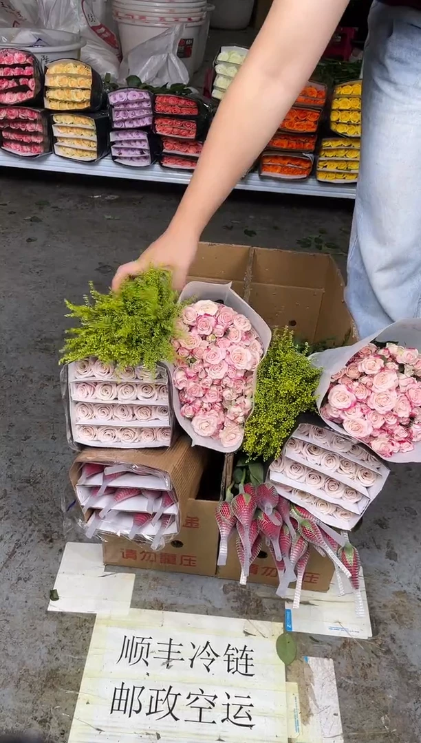 卡罗拉20枝+曼塔20枝+折射10枝+黄莺