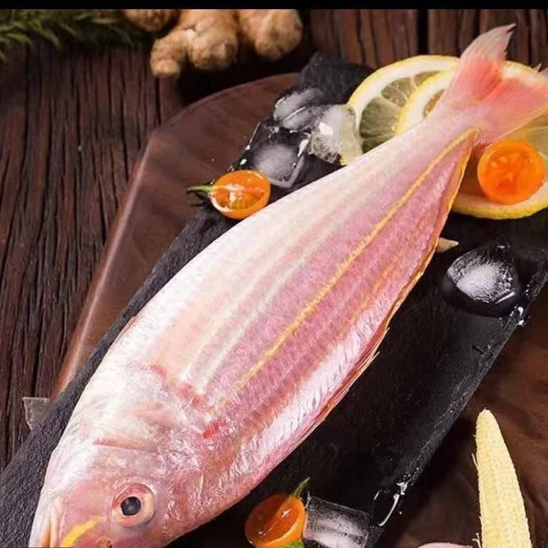 广东茂名博贺港海钓金丝鱼（1500克6到7条）~共3斤重