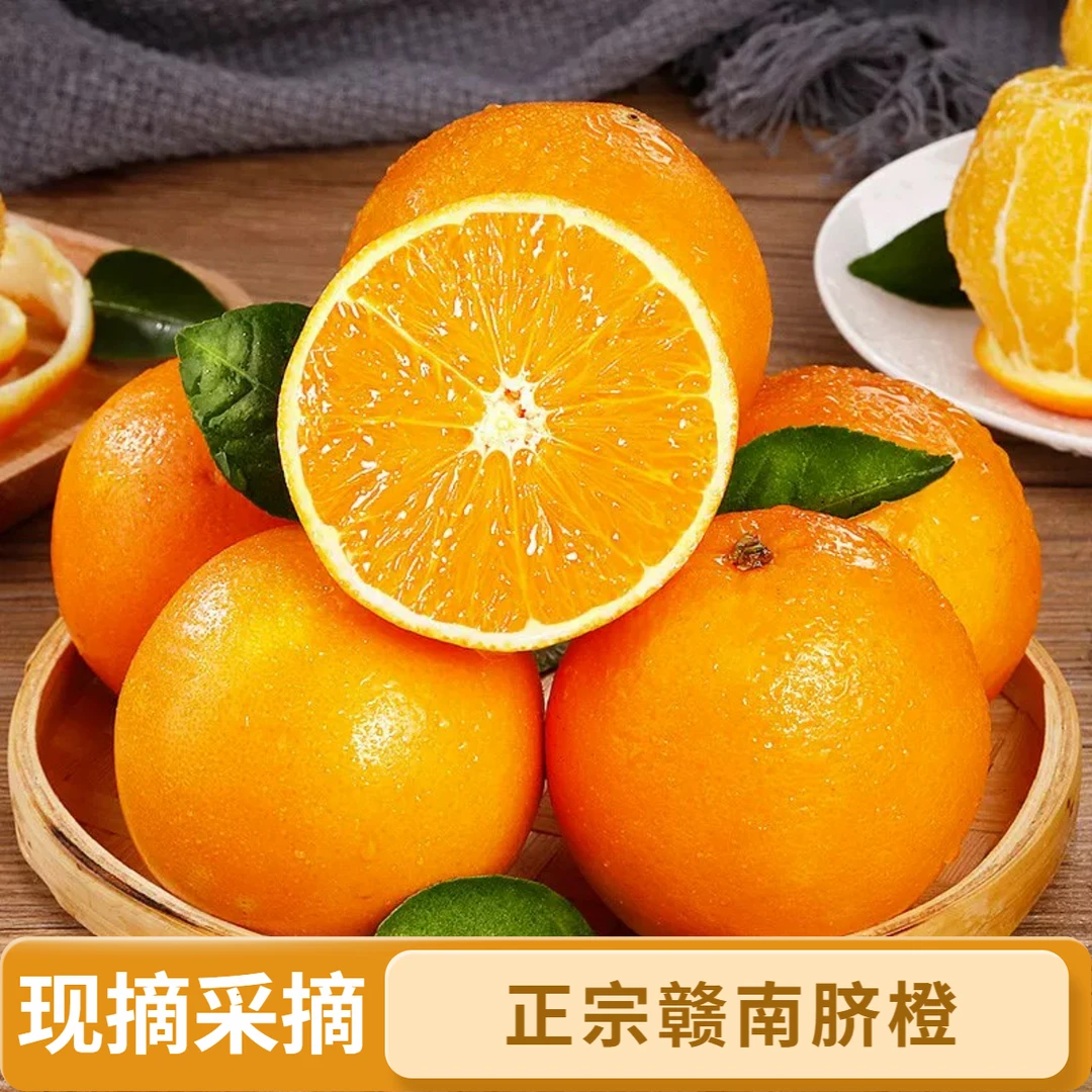 【次日达】11/6正宗赣南脐橙新鲜采摘橙子当季水果彩箱装送开橙器多仓发货江西省