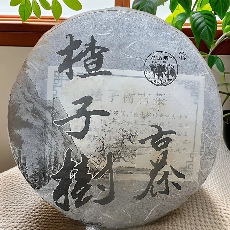 【16年楂子树·缅北老班章】异域500年森林古树头春茶普洱茶生茶