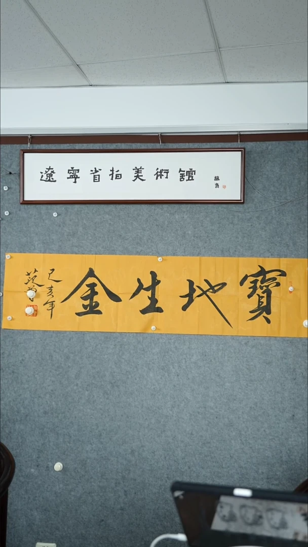 竖款【辽拍】范先生-书法（4.3平尺）V240701-3-48