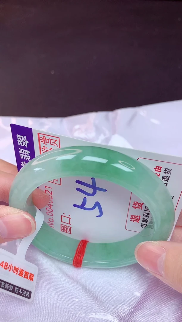 未镶嵌手镯翡翠54（48小时鉴赏期 ）