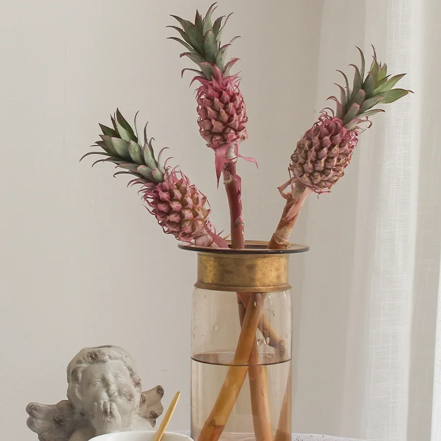 【七礼夫人】水培鲜切花 粉菠萝/鲜切花材/小众花材