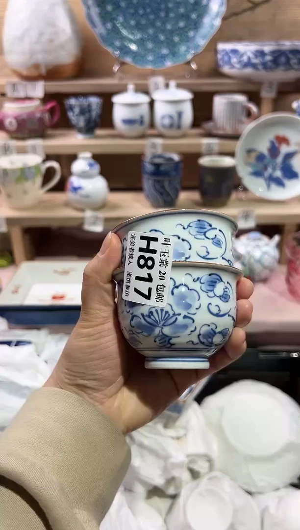瓷片            E817