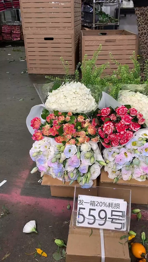 559号♥含20%耗损发一箱