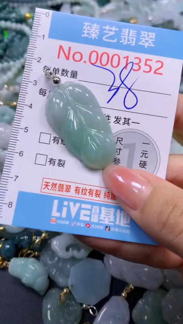颈饰未镶嵌翡翠1352