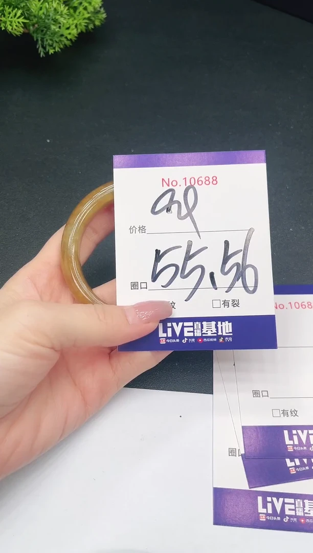 未镶嵌手镯翡翠10688