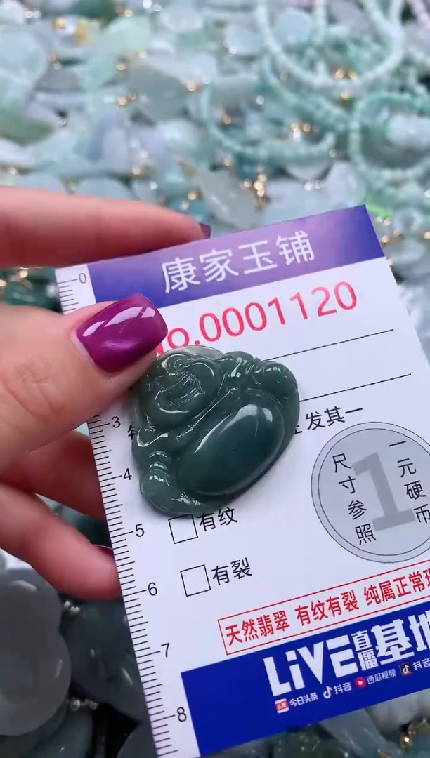 颈饰未镶嵌翡翠1120
