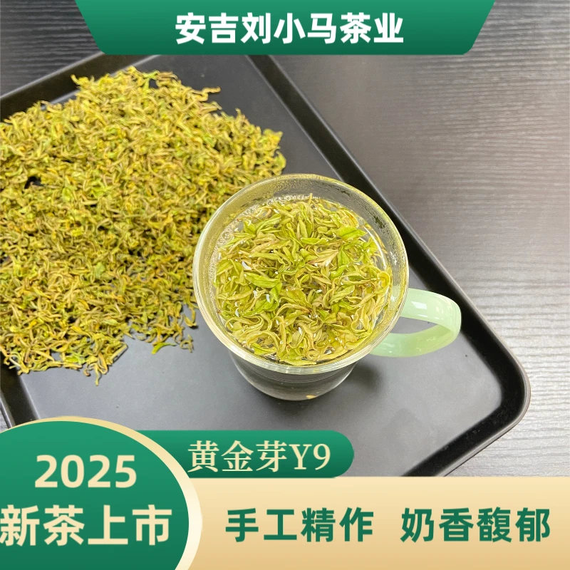 【手工奶白黄金芽Y9】2025年手工熊猫新茶安吉奶香白茶爽口型