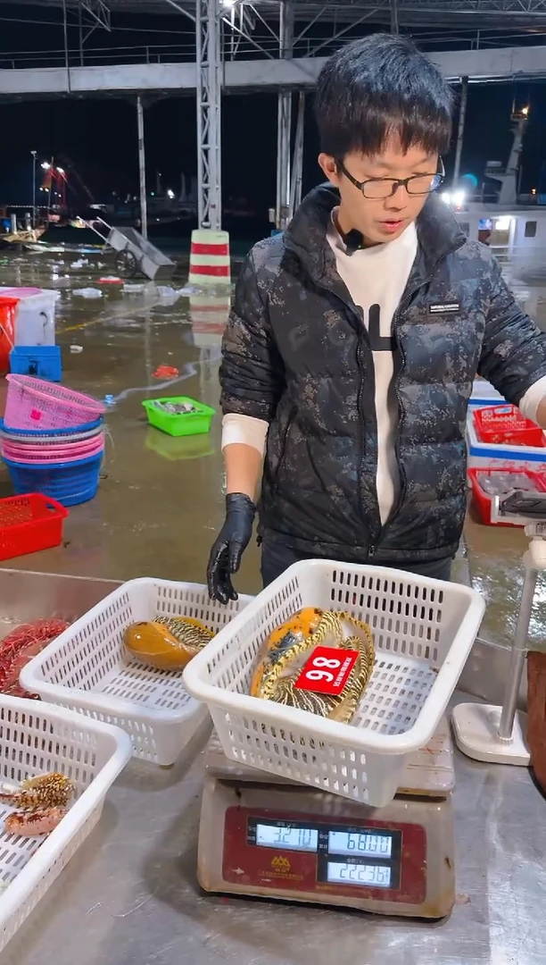 中国大陆成螺111111111111