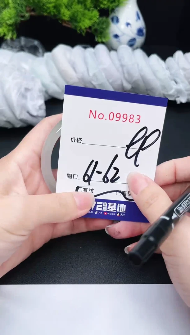 未镶嵌手镯翡翠9983